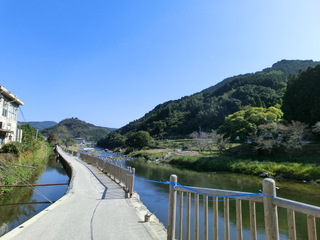 CIMG6137.JPG