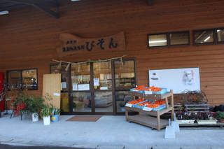星野びそん 006.jpg