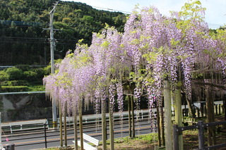 IMG_0798.JPG