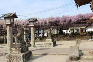 IMG_0799.JPG