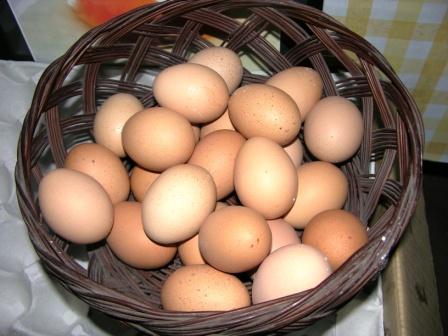 tamago.JPG