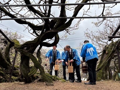 �w�Ëv���x�J��